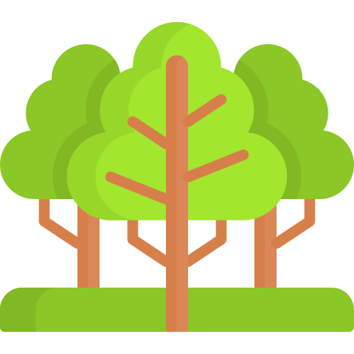 Ateliers créatifs en pleine nature (selon le lieu)